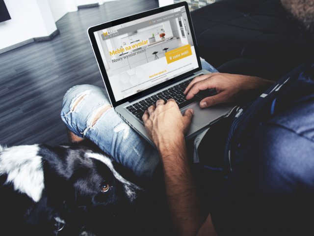 Wykonanie strony internetowej linekmeble.pl