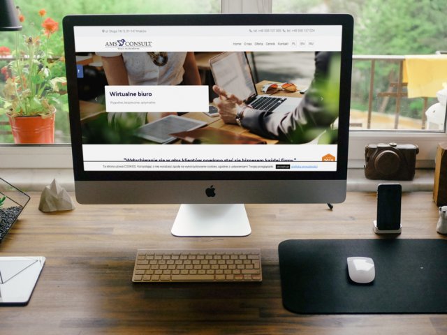 Wykonanie strony internetowej amsconsult.pl