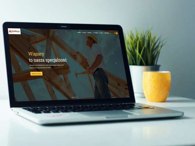 Strona internetowa Byddrewdachy.pl