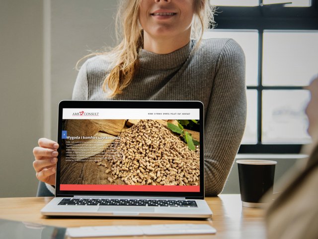 Strona internetowa pellethurt.pl dla AMS Consult