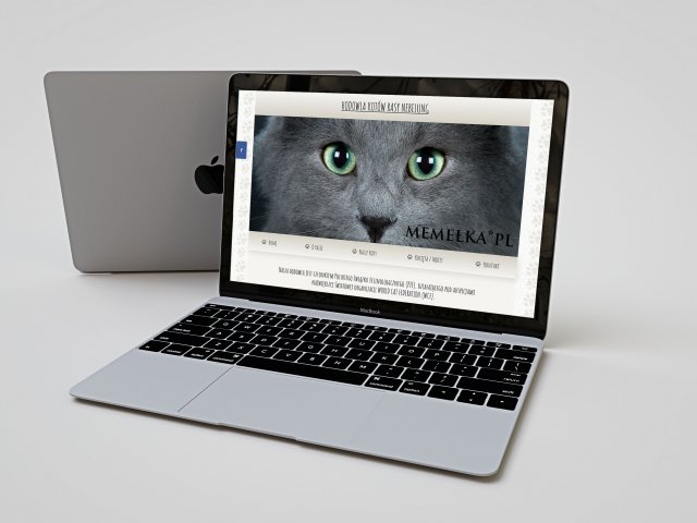 Strona nebelungcattery.pl