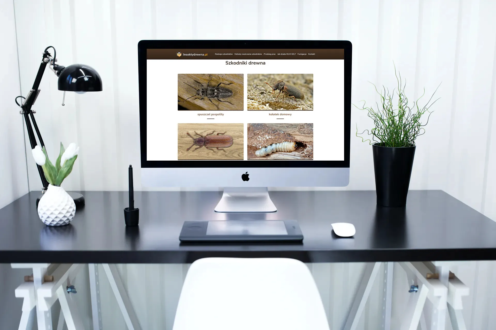 Wykonanie strony internetowej insektydrewna.pl