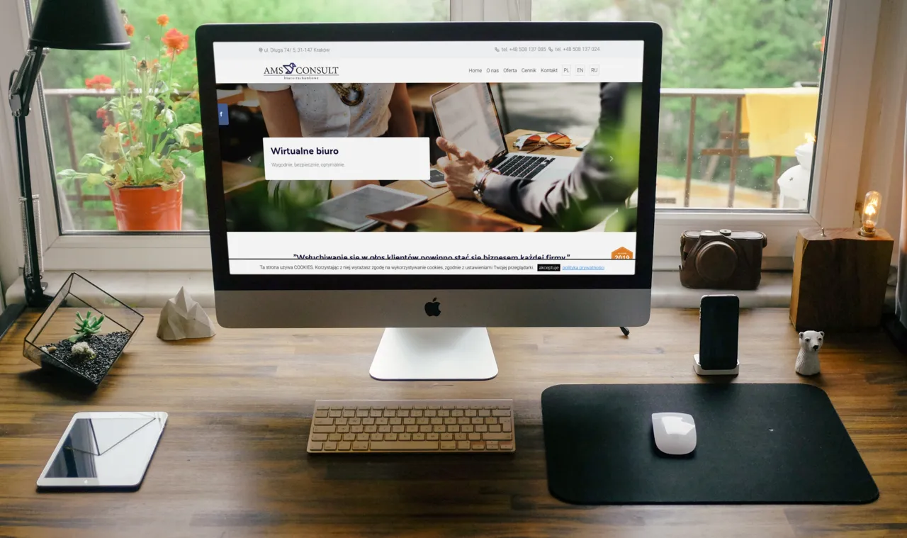 Wykonanie strony internetowej amsconsult.pl