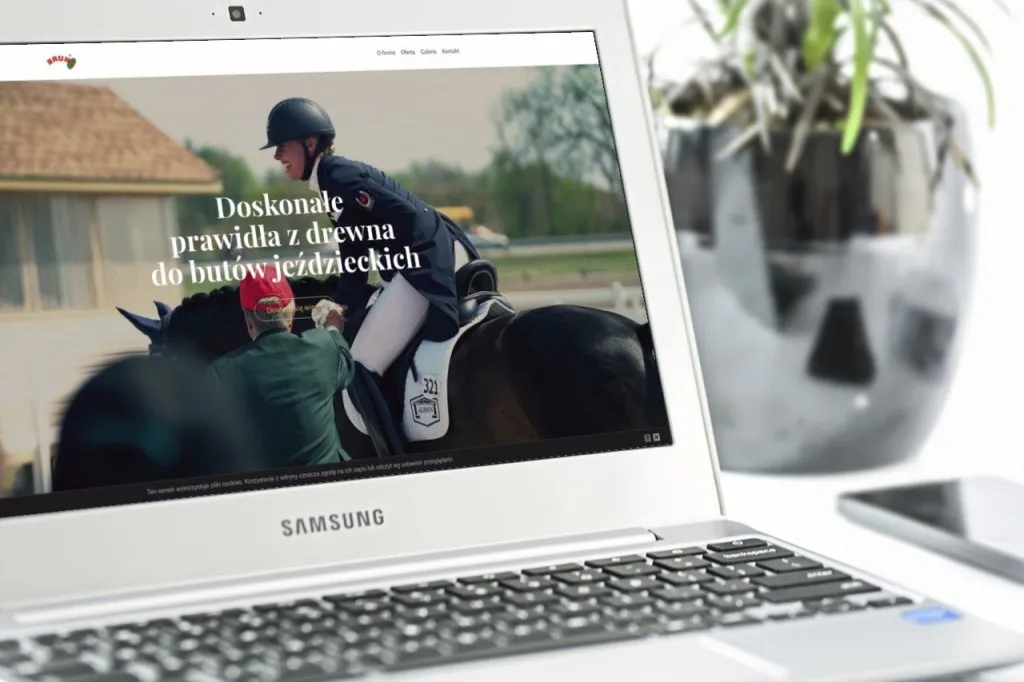 Wykonanie strony internetowej – prawidladooficerek.pl