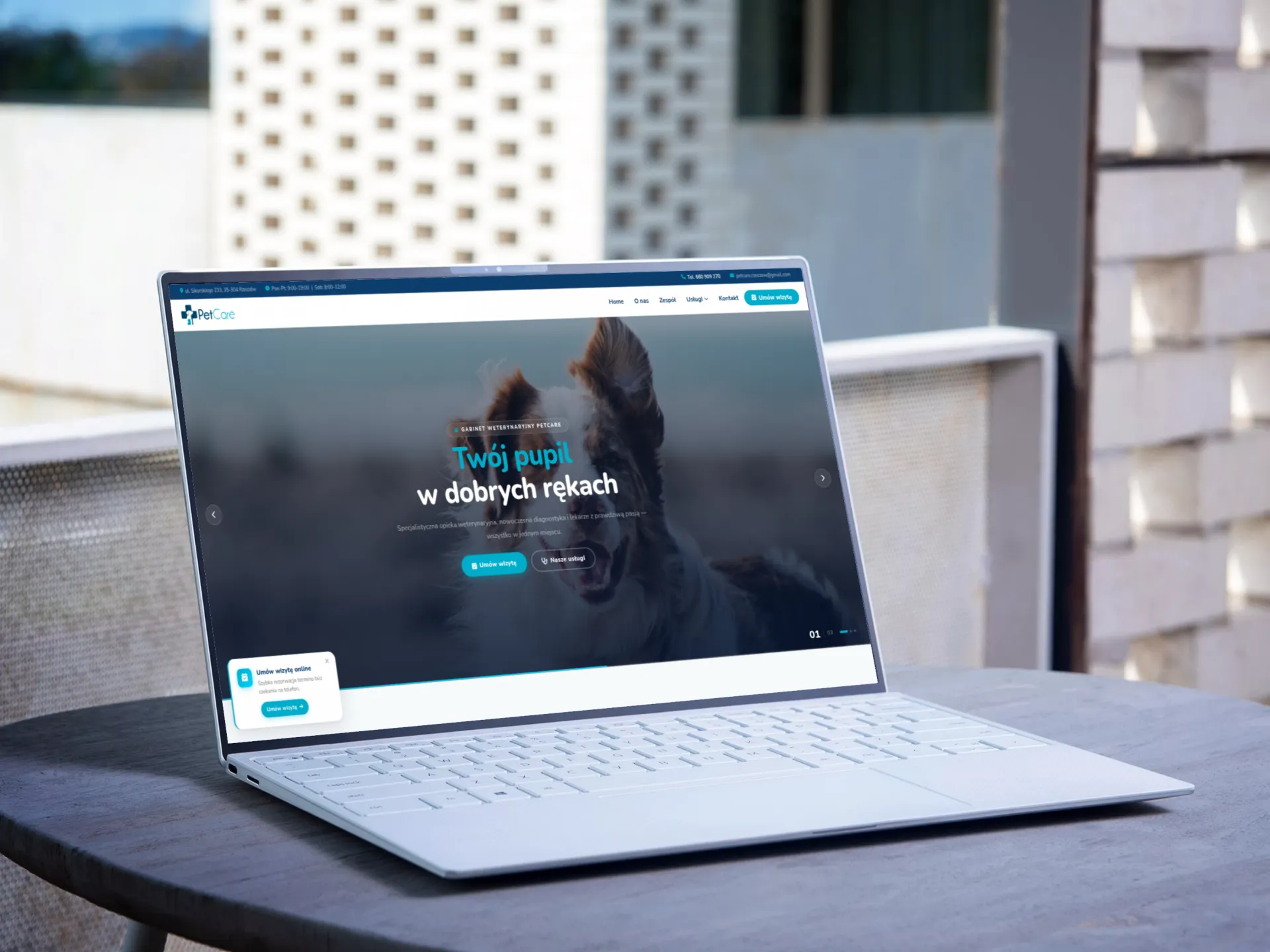 Strona internetowa dla Pet-Care